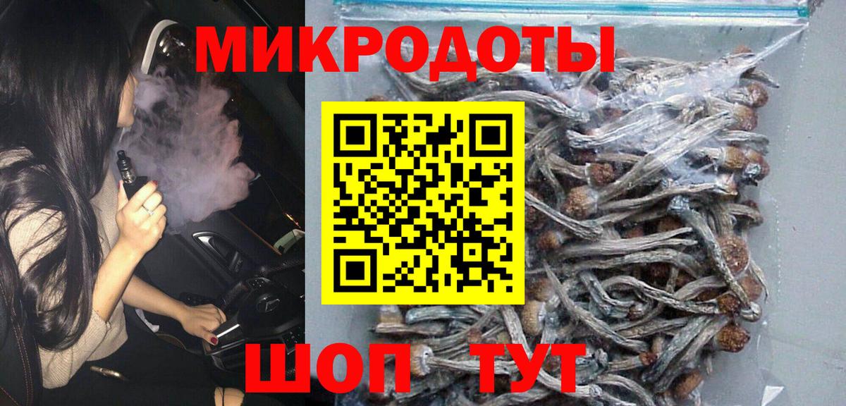 Галлюциногенные грибы Psilocybe Курчатов