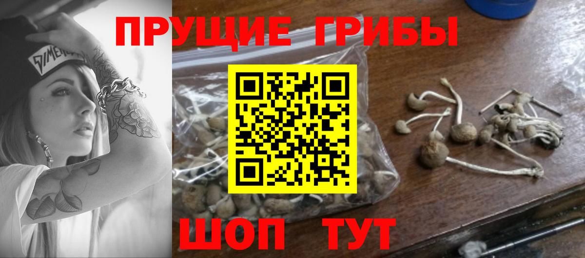 Псилоцибиновые грибы мухоморы  Галлюциногенные грибы Magic Shrooms  Вход с VPN  закладки  Курчатов 